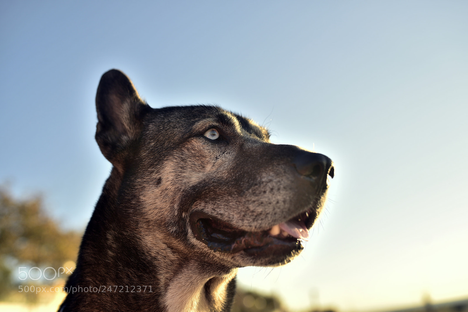 Nikon D750 + Sigma 35mm F1.4 DG HSM Art sample photo. Dsc photography