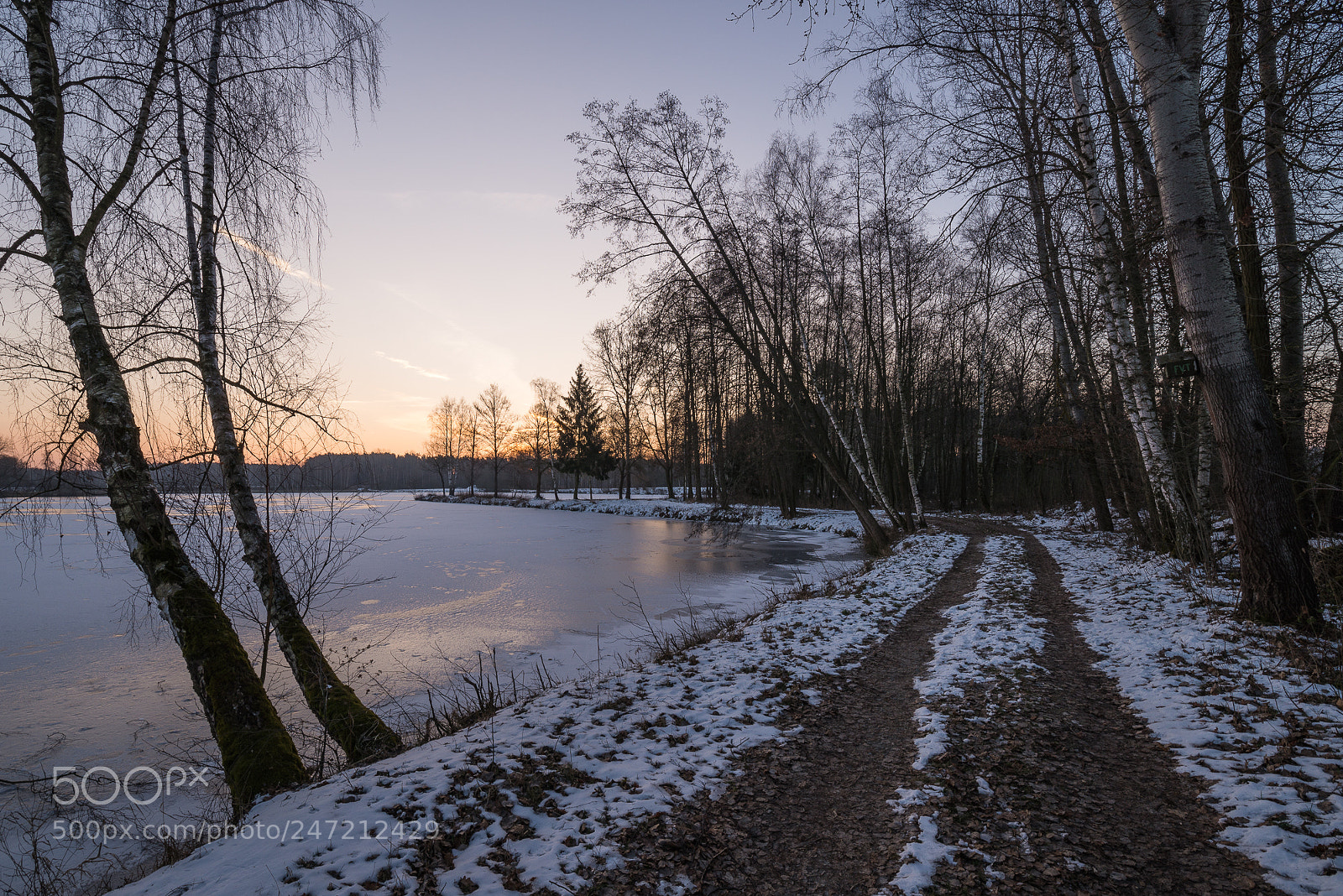 Nikon D610 sample photo. -10° photography