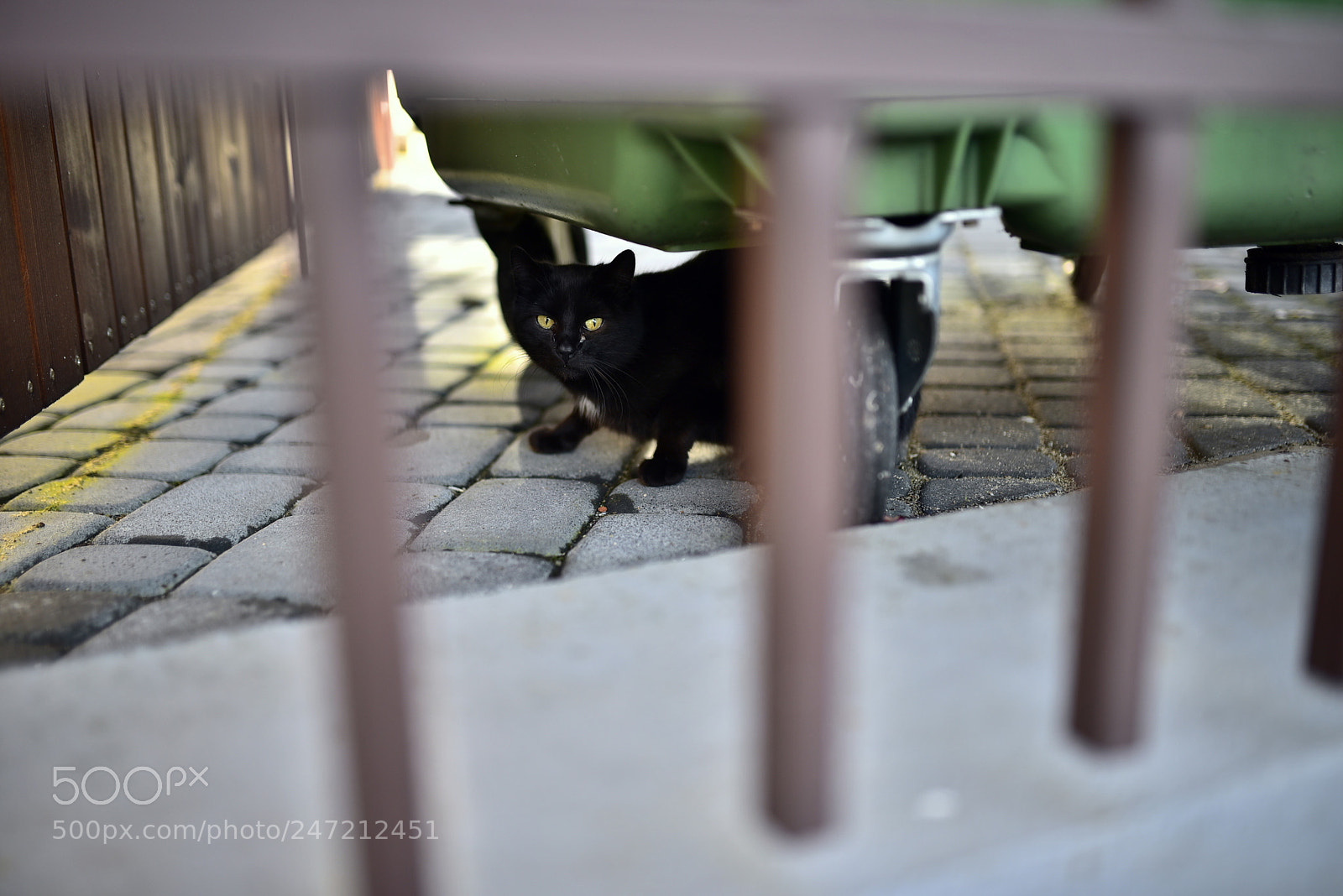 Nikon D750 + Sigma 35mm F1.4 DG HSM Art sample photo. Dsc photography