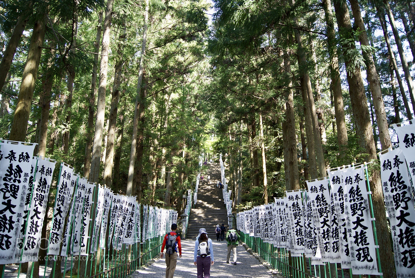 Sony Alpha DSLR-A330 sample photo. 熊野本宮大社 参道 photography