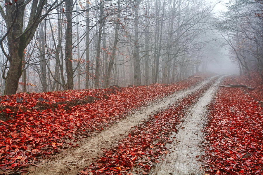Canon EOS 5D sample photo. Beautiful hiking photography