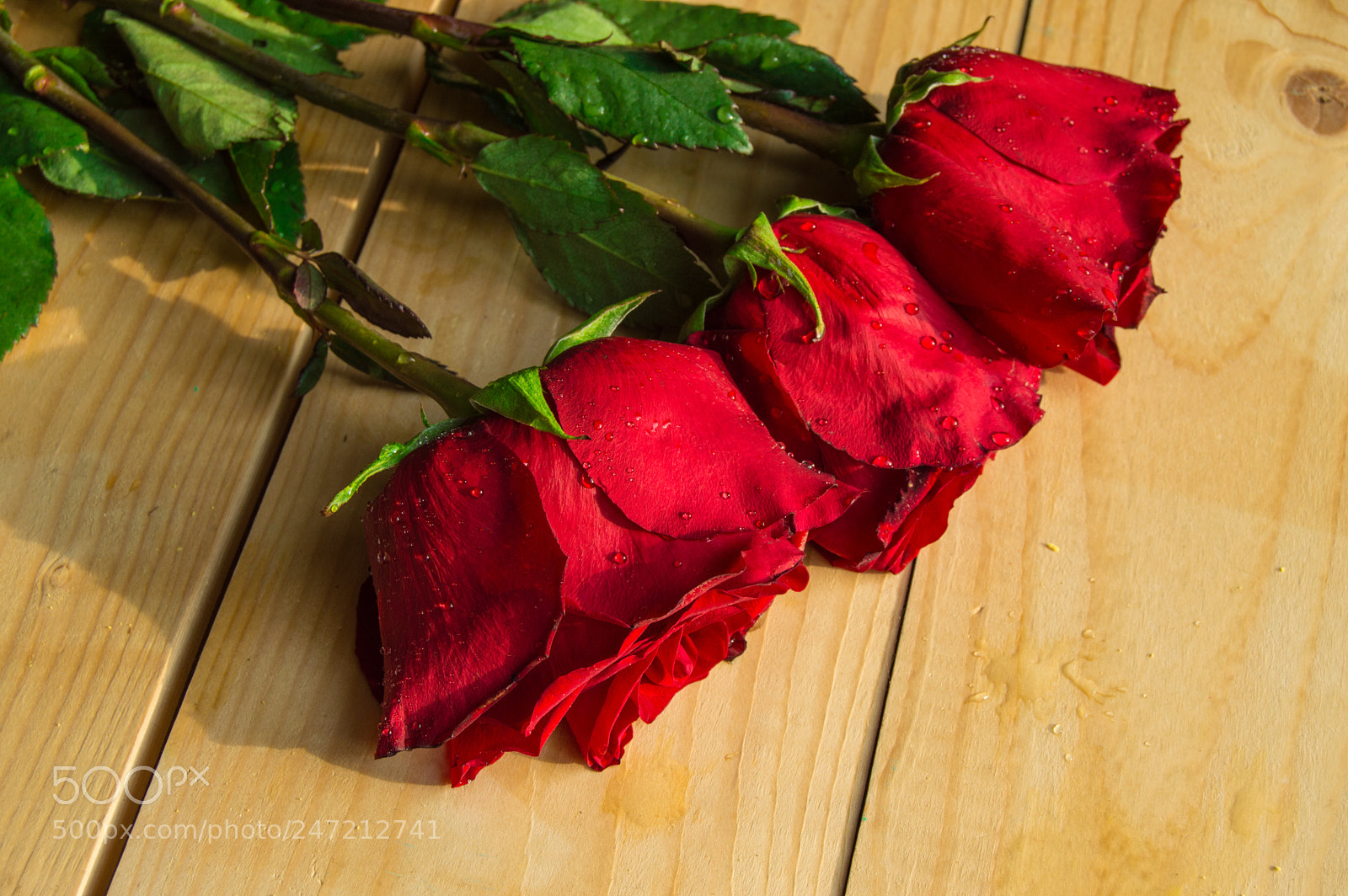 Nikon D3200 sample photo. Red roses on wooden photography