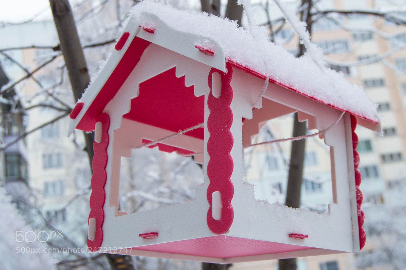 Nikon D3200 sample photo. Red bird feeder hanging photography