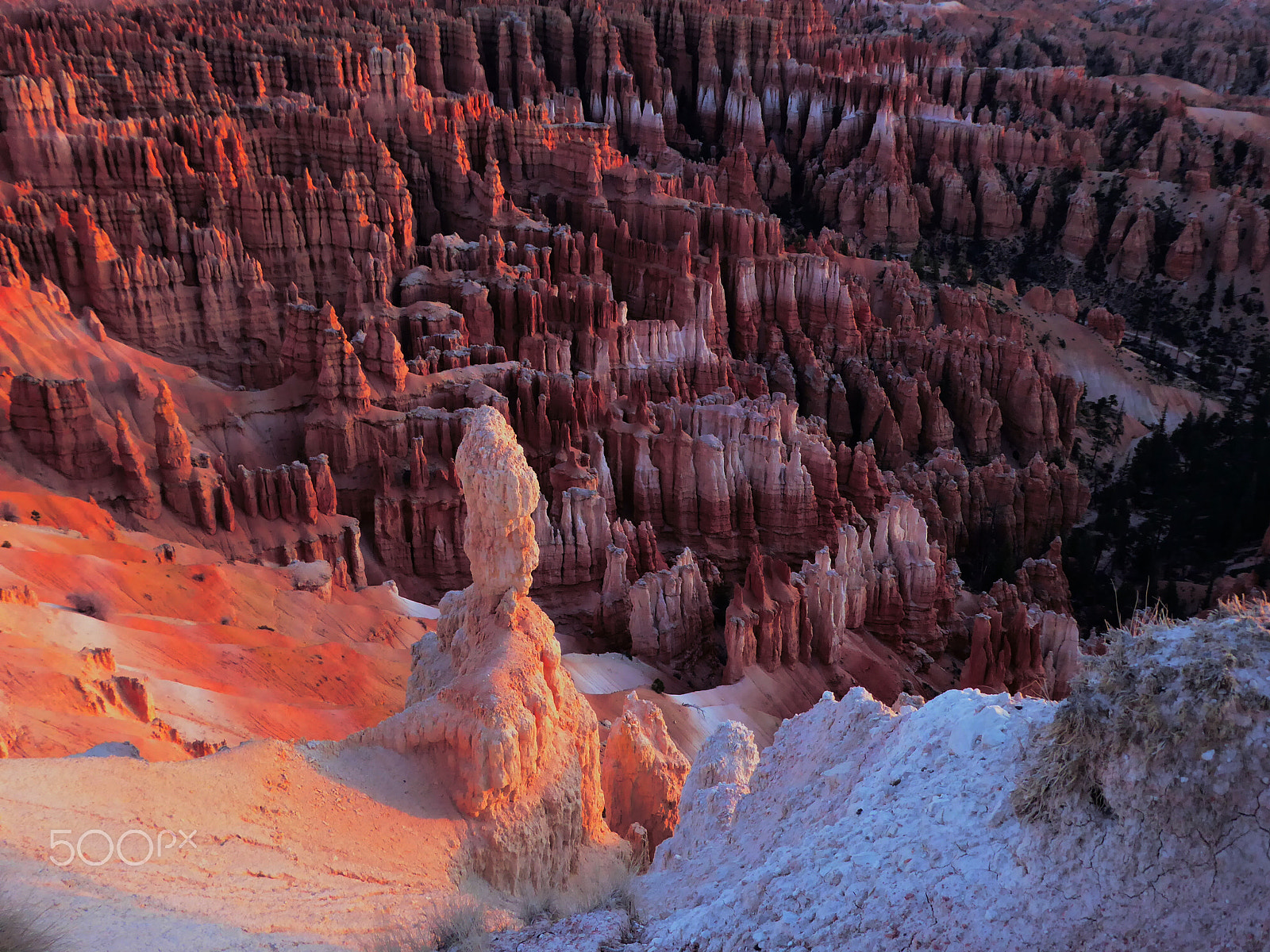 Panasonic Lumix DMC-ZS50 (Lumix DMC-TZ70) sample photo. Southern utah, usa photography