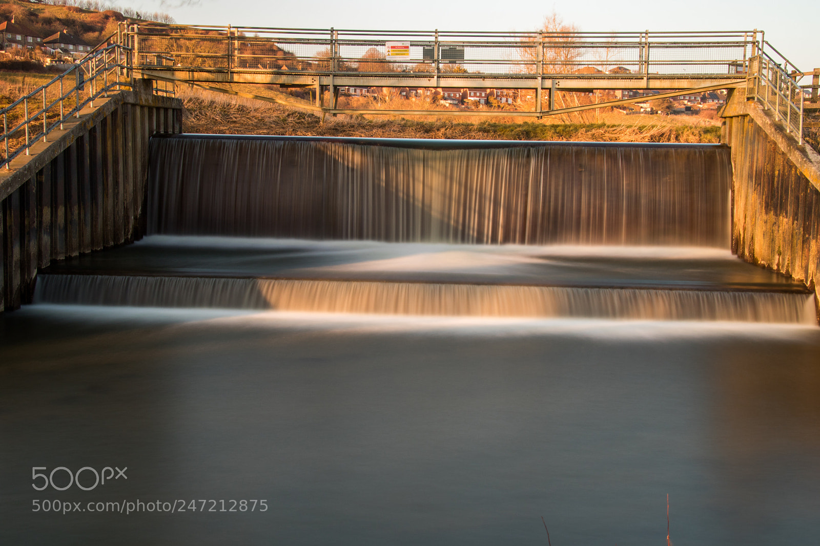 Canon EOS 7D Mark II sample photo. Untitled photography