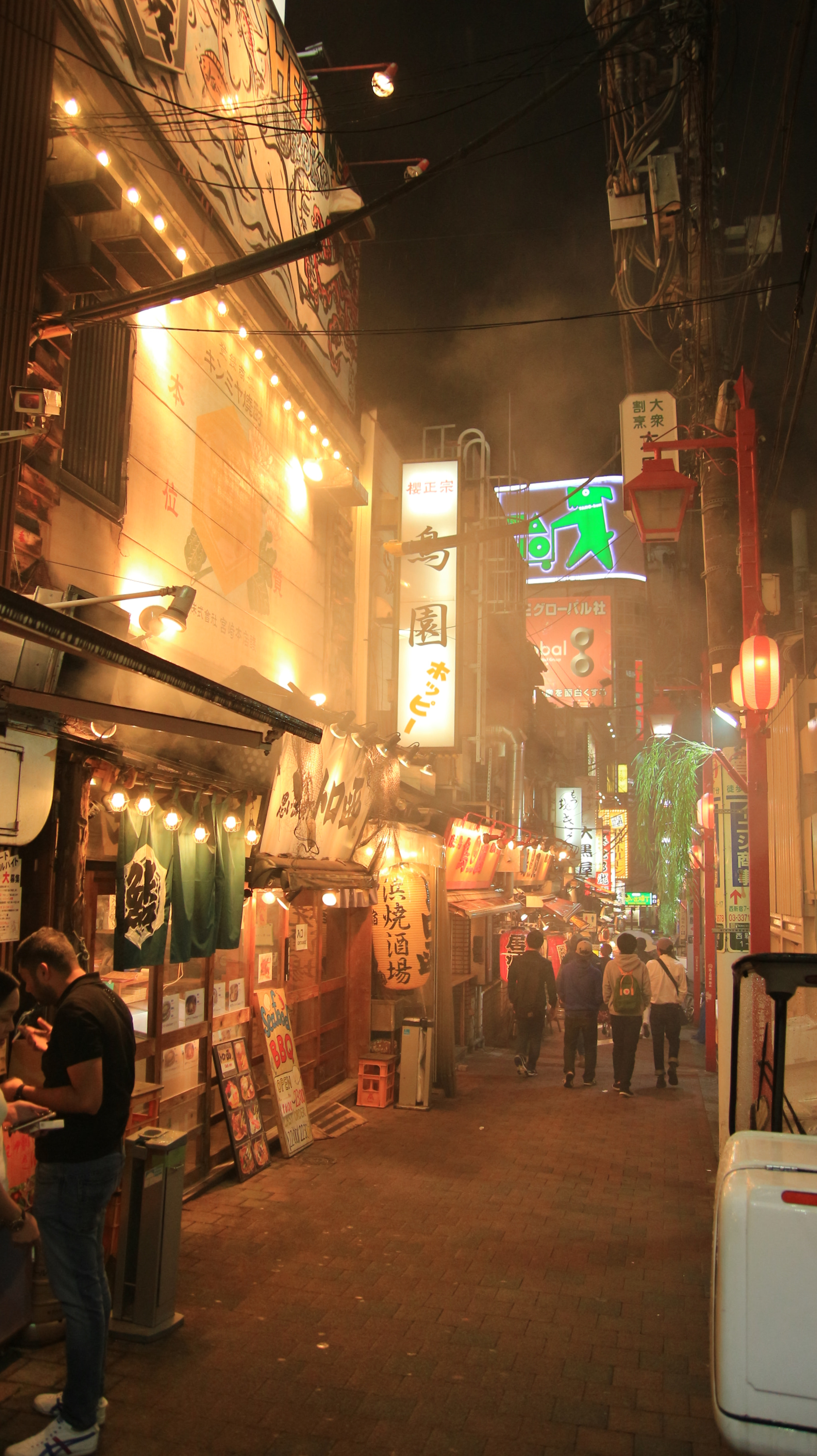 Tamron SP AF 17-50mm F2.8 XR Di II LD Aspherical (IF) sample photo. Yakitori street, tokyo photography