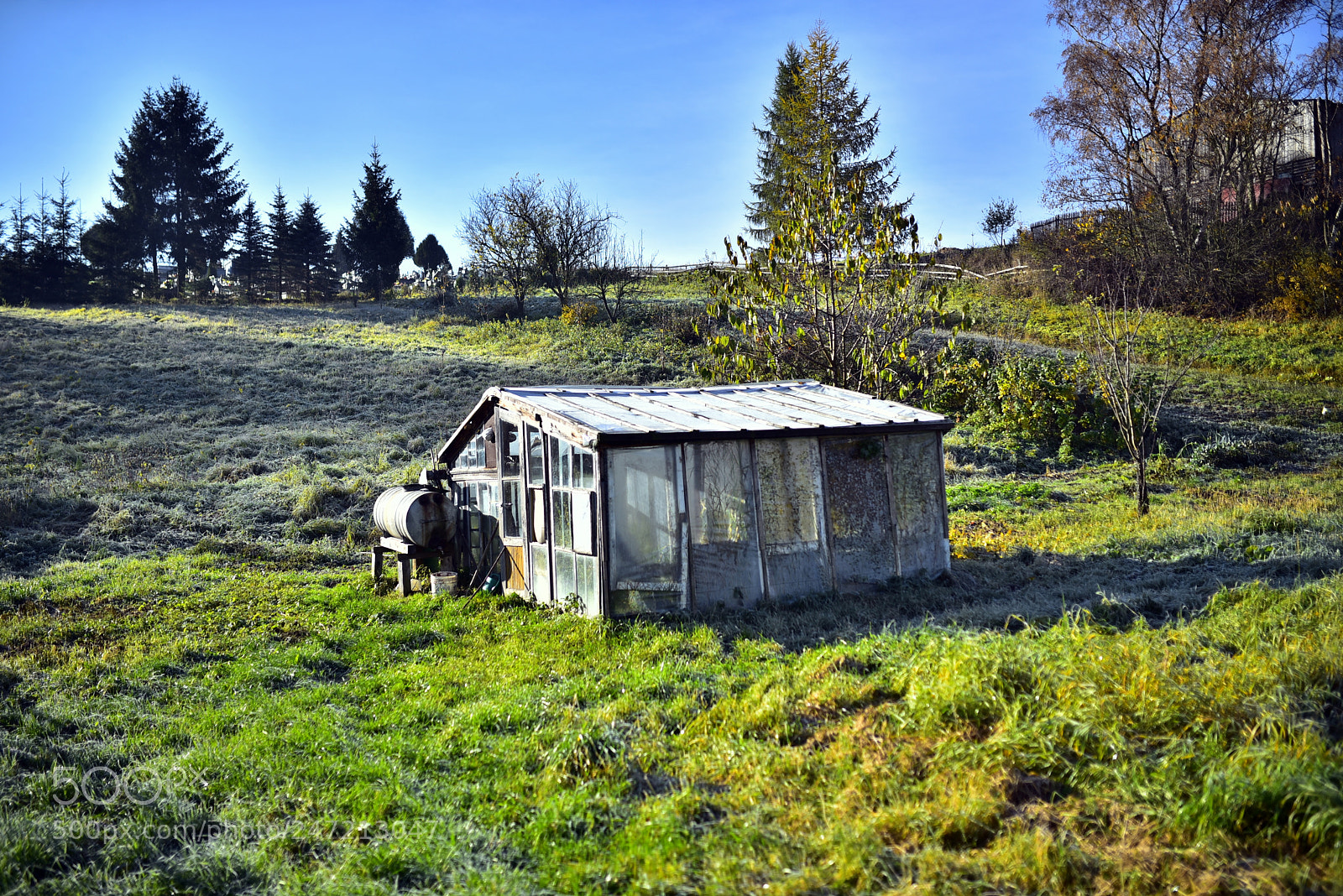 Nikon D750 sample photo. Dsc photography