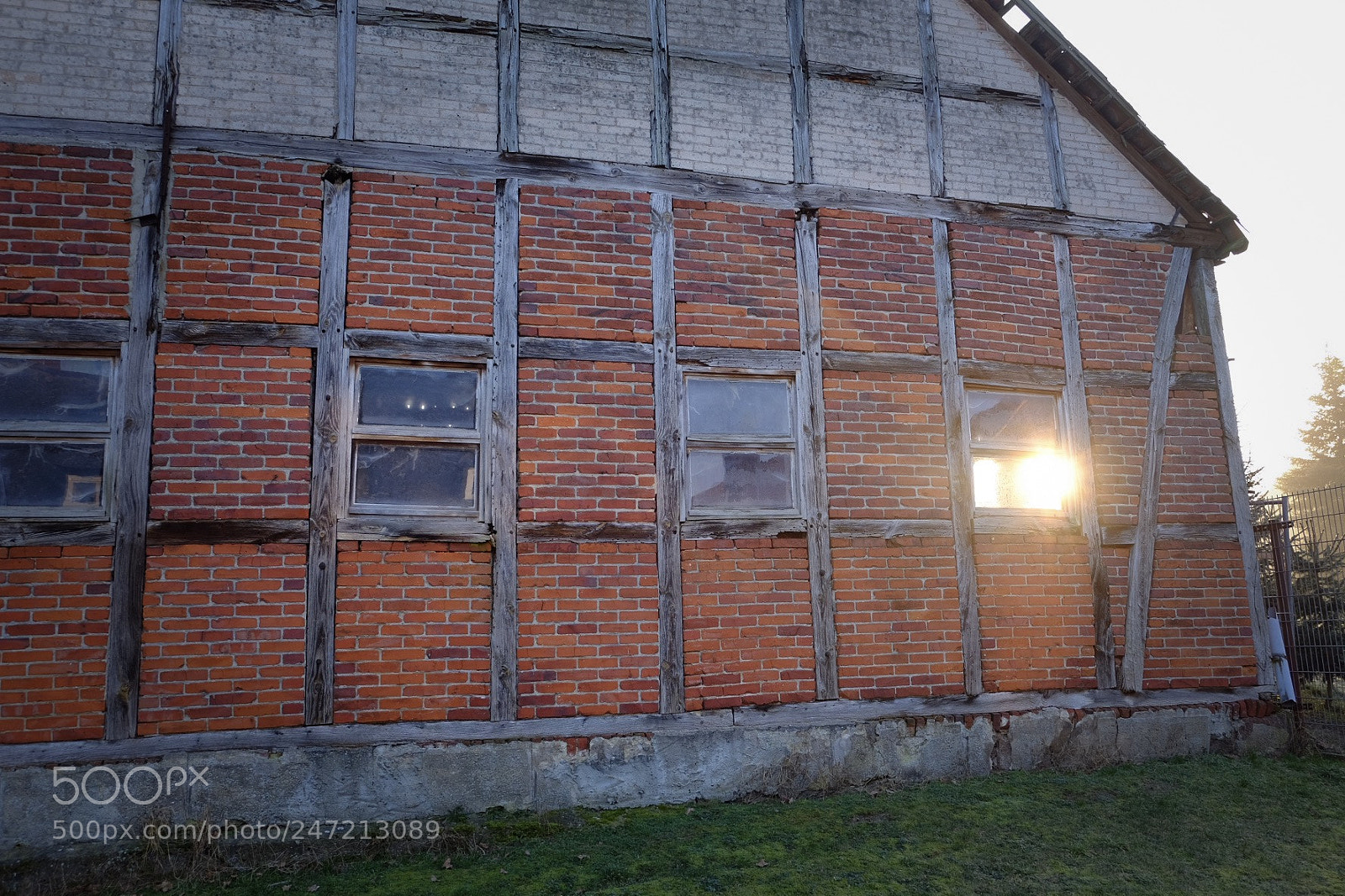Fujifilm X-T10 sample photo. Morning sun photography