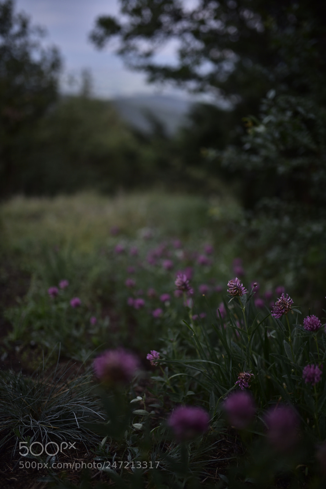 Sigma 35mm F1.4 DG HSM Art sample photo. Dsc photography