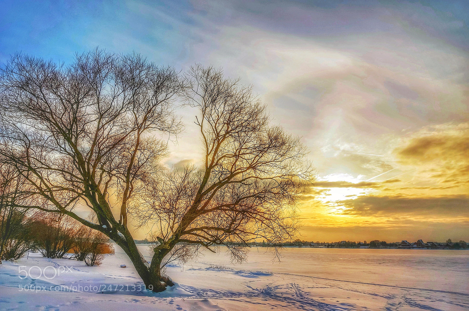 Sony Alpha NEX-6 sample photo. Winter sunset photography