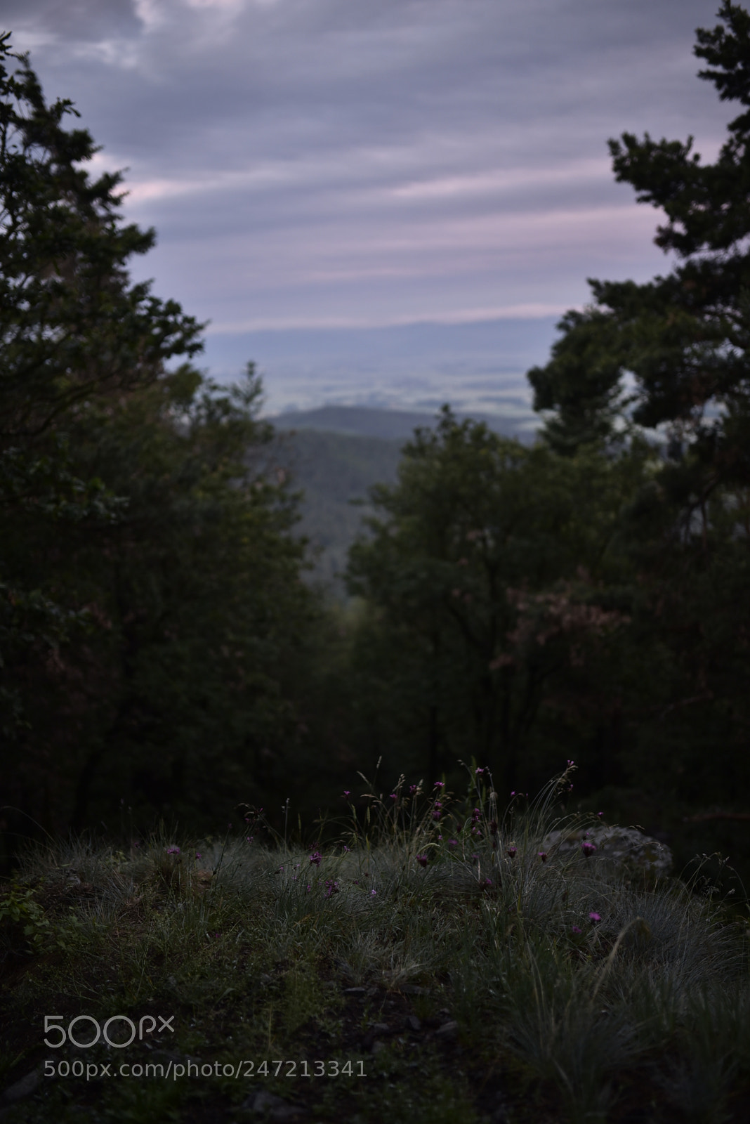 Sigma 35mm F1.4 DG HSM Art sample photo. Dsc photography