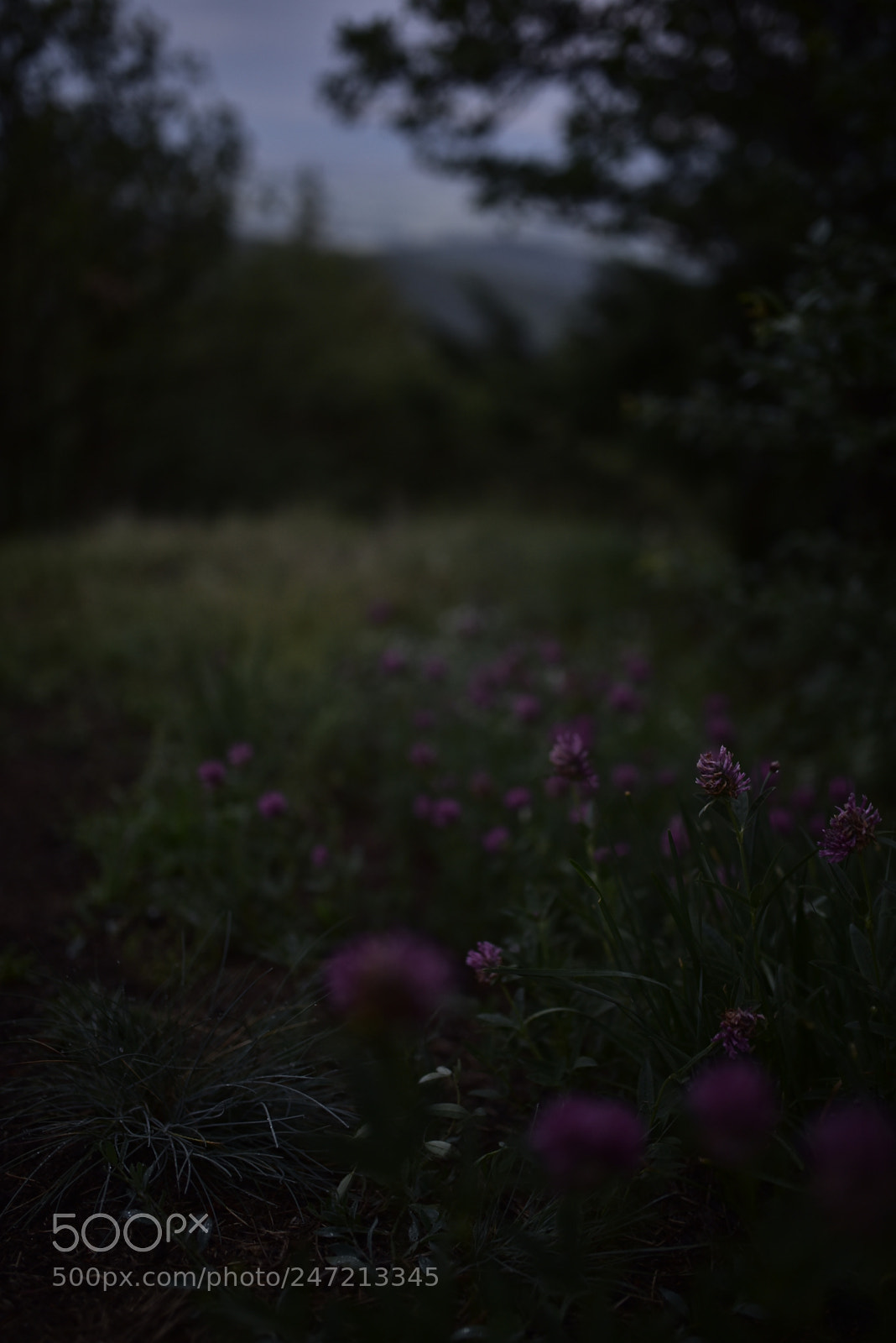 Nikon D750 + Sigma 35mm F1.4 DG HSM Art sample photo. Dsc photography