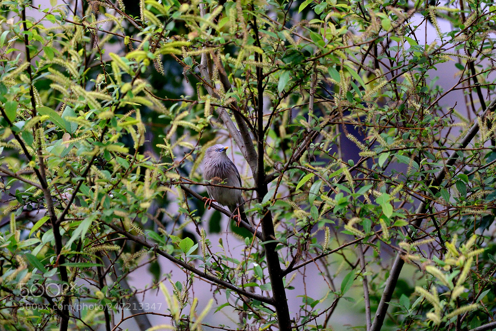 Nikon D610 sample photo. Dsc photography