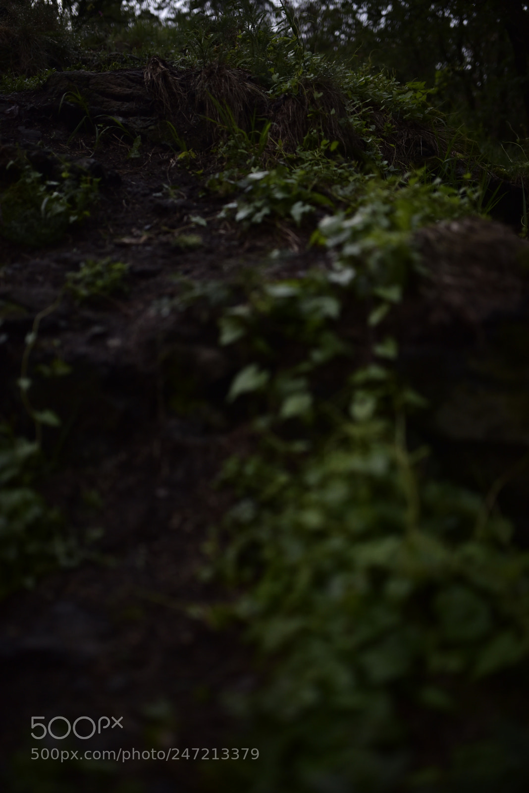 Nikon D750 + Sigma 35mm F1.4 DG HSM Art sample photo. Dsc photography