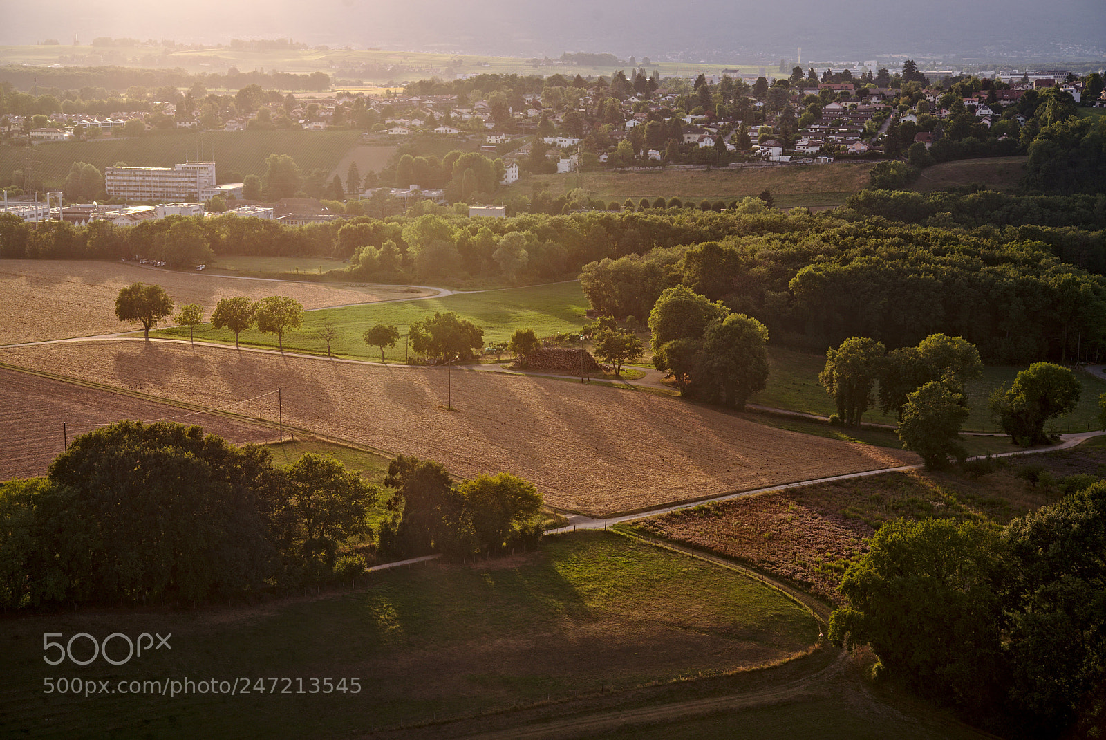 Nikon D610 sample photo. From the top photography