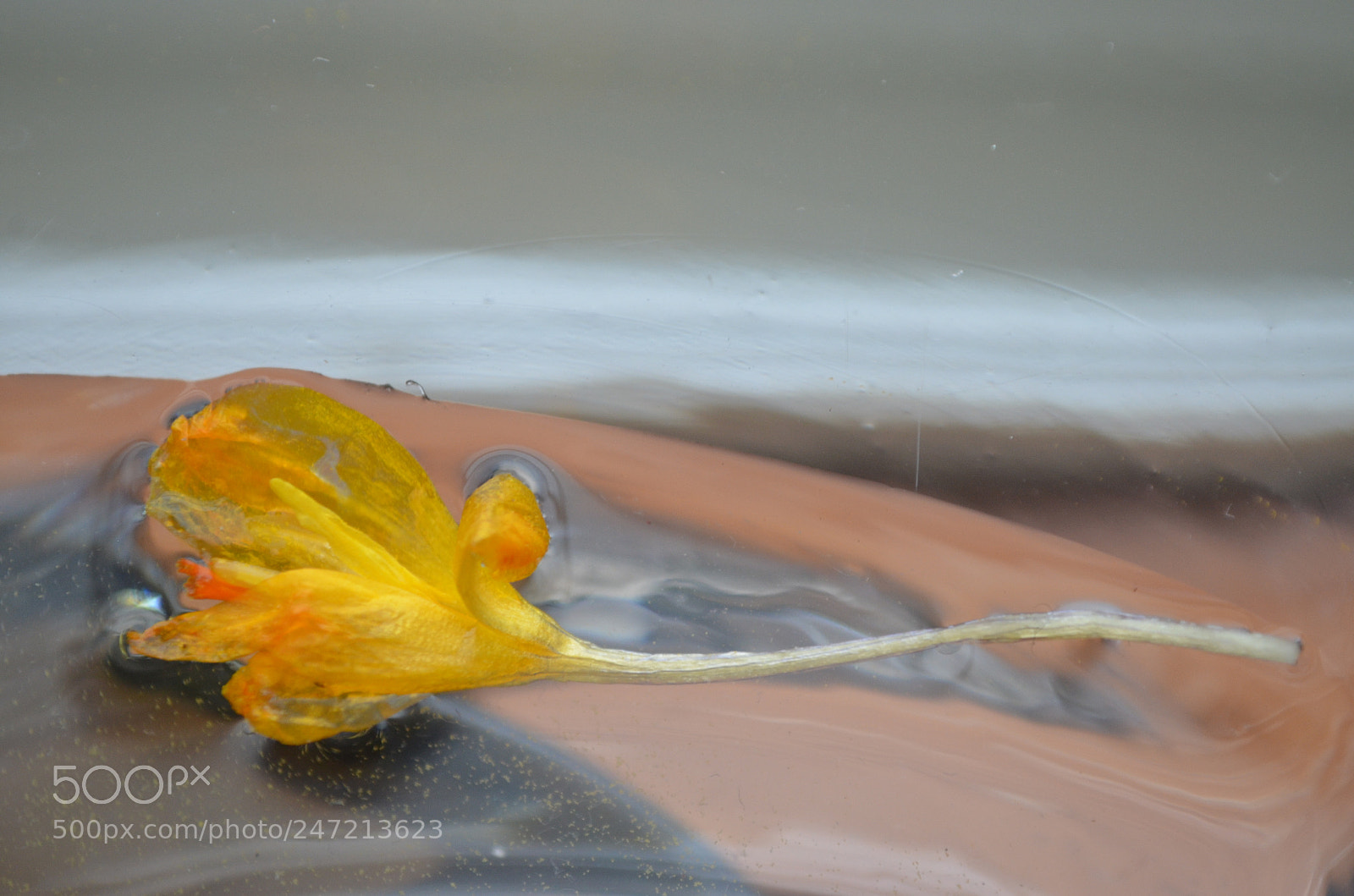 Nikon D5100 sample photo. Enduring photography