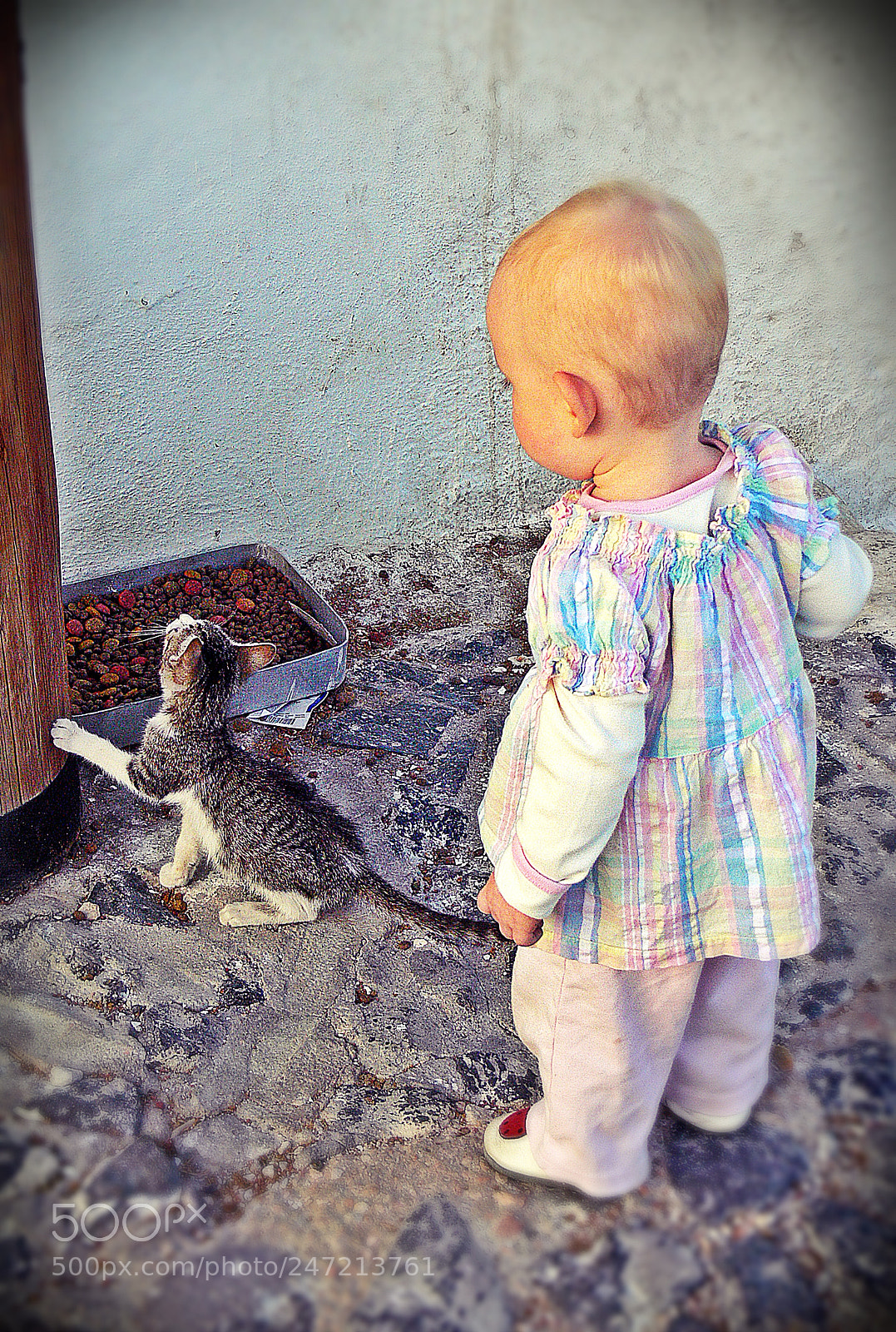 Panasonic DMC-FZ30 sample photo. Small curious friends photography