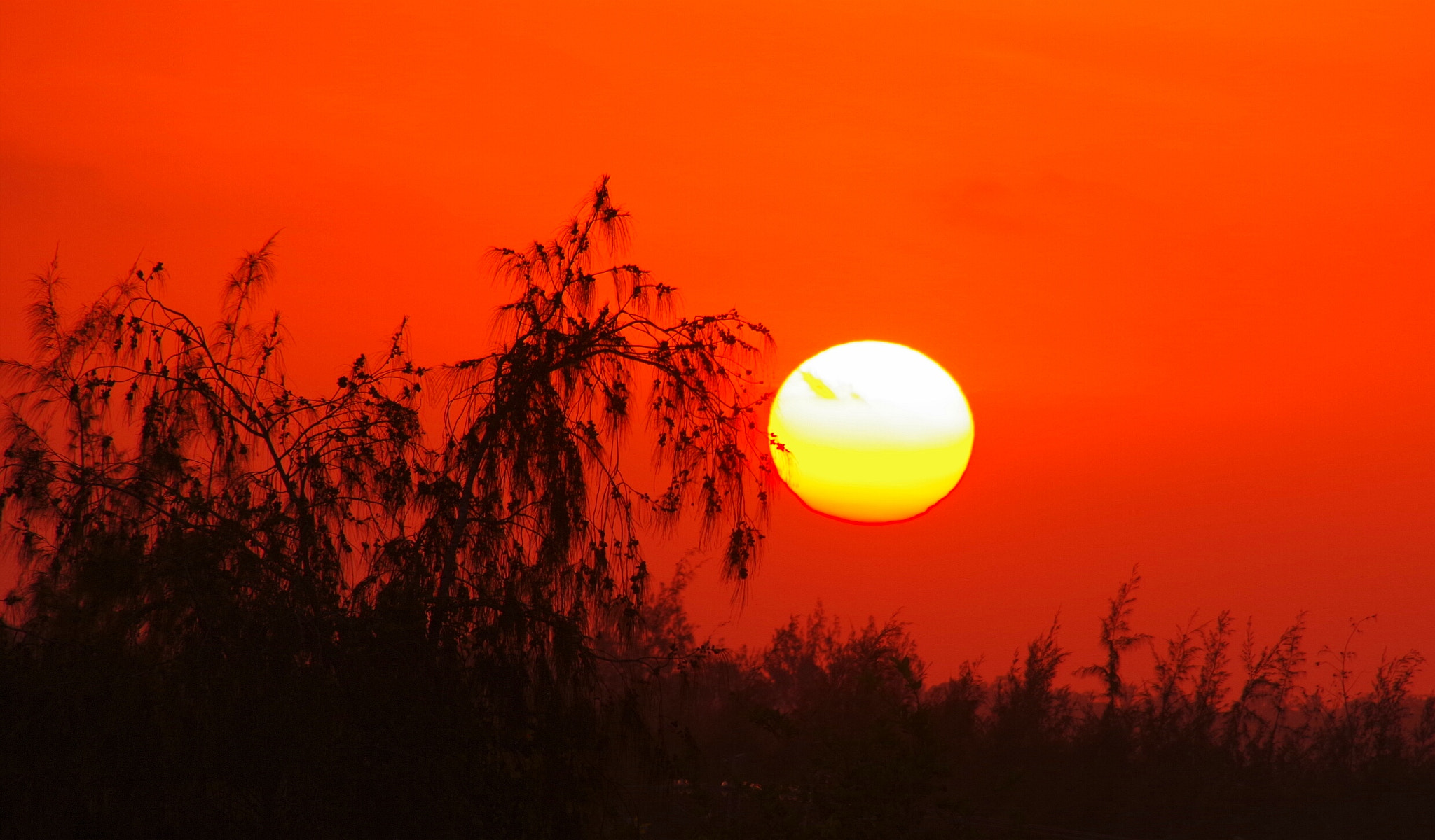 Pentax K-70 sample photo. Wonderful sunset photography
