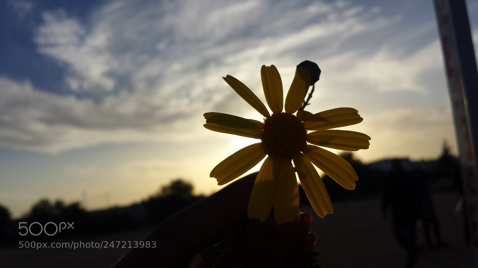 Samsung Galaxy S4 sample photo. 20170303_173853.jpg photography