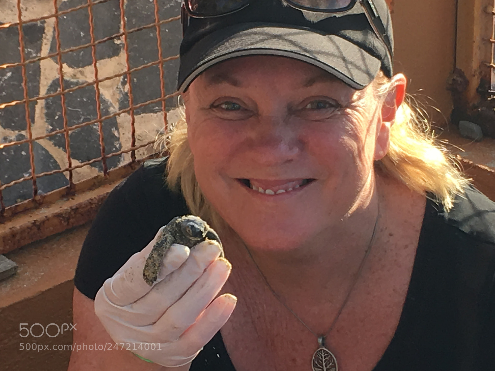 Apple iPhone 6s Plus sample photo. Digging out turtles photography