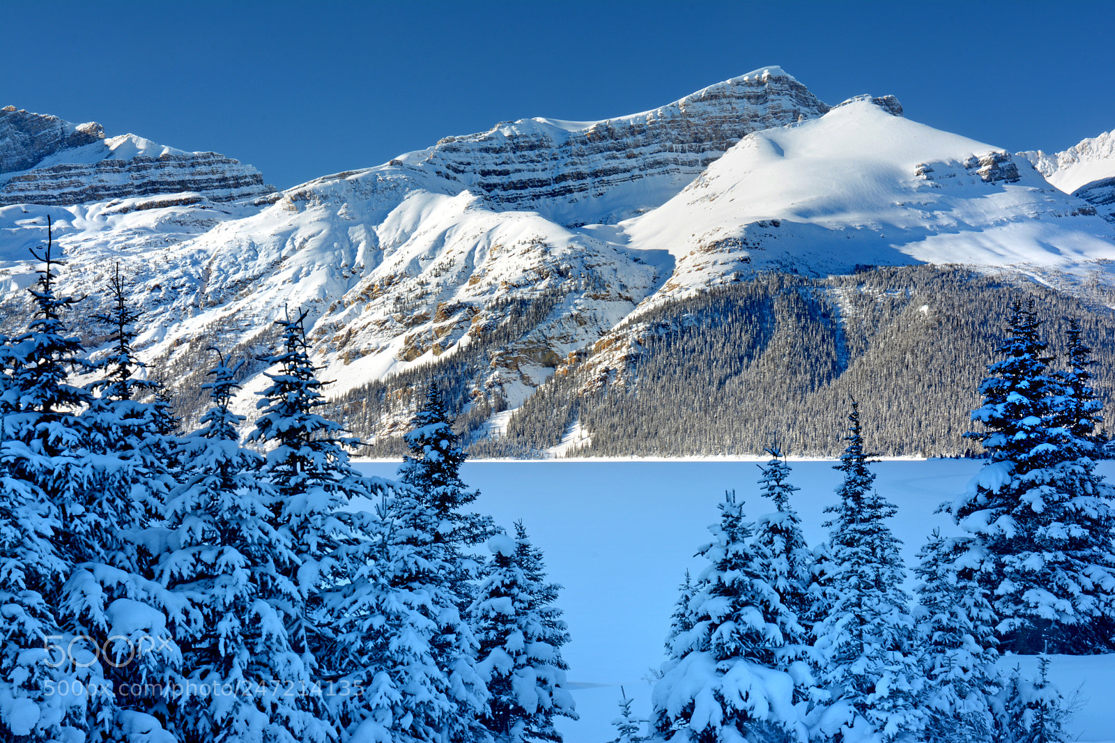 Nikon D7100 sample photo. Winter at bow lake photography