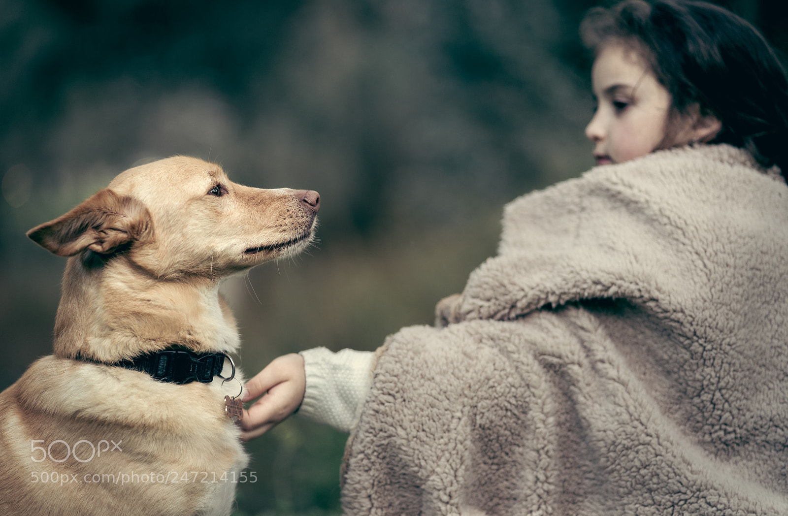 Sony a7R II sample photo. Charlie in the forest photography