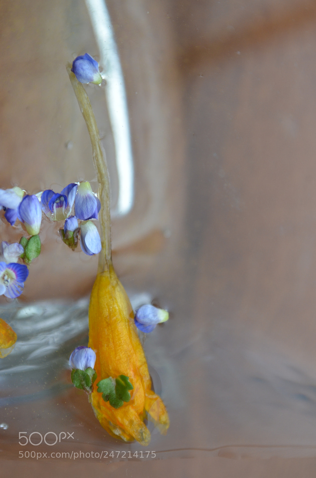 Nikon D5100 sample photo. Lift me up photography