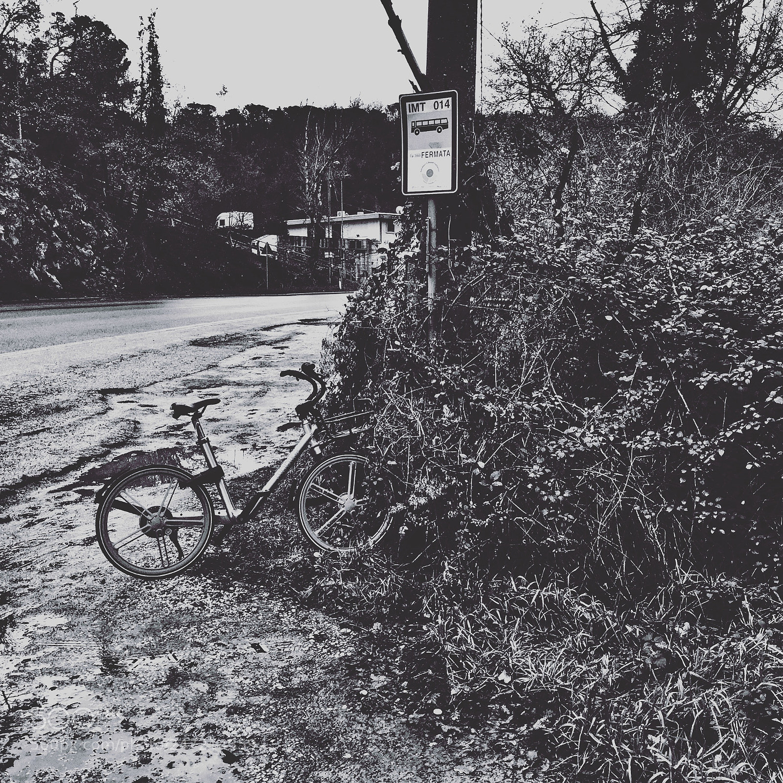 Apple iPhone 6 sample photo. Lost bike photography