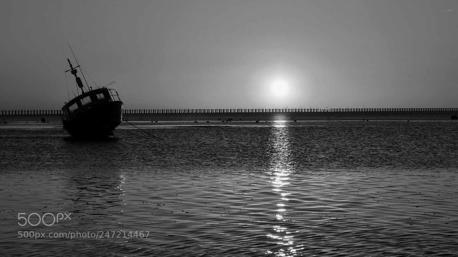 Nikon D7200 sample photo. B&w sunrise photography