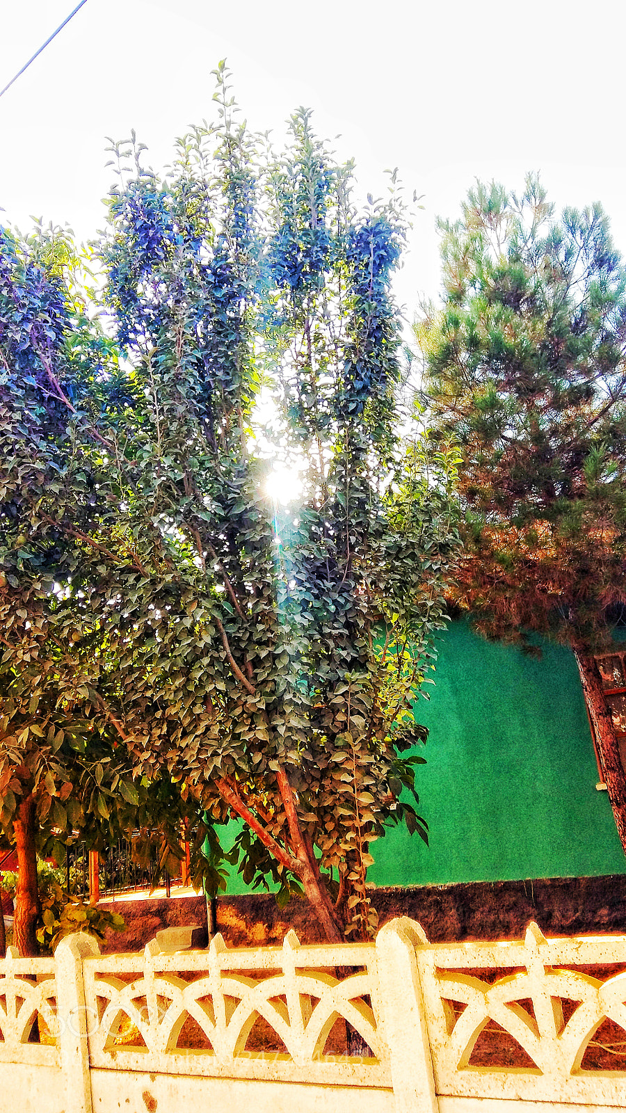 Samsung Galaxy A5 sample photo. Untitled photography