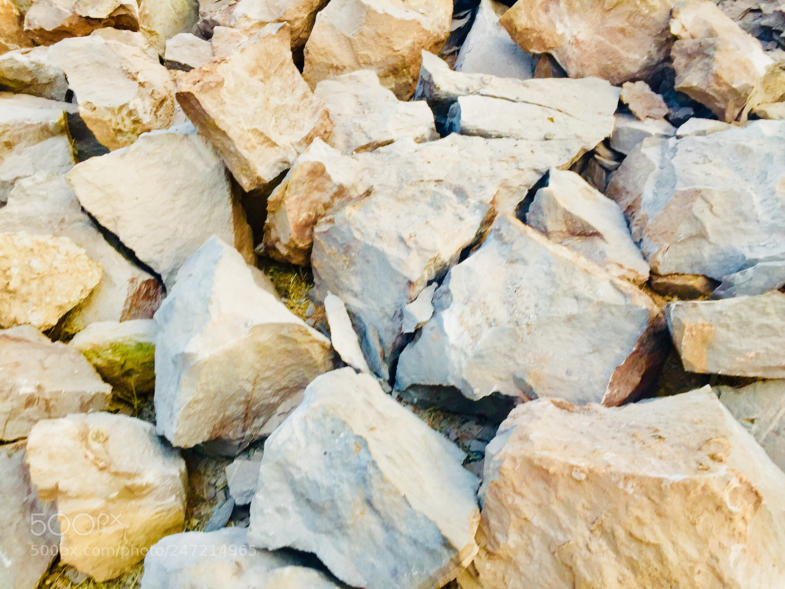 Apple iPhone 6 sample photo. Untitled photography