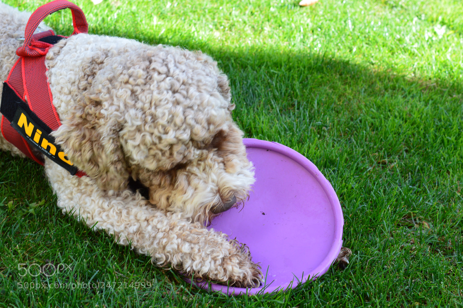 Nikon D3200 sample photo. Destroying is great photography