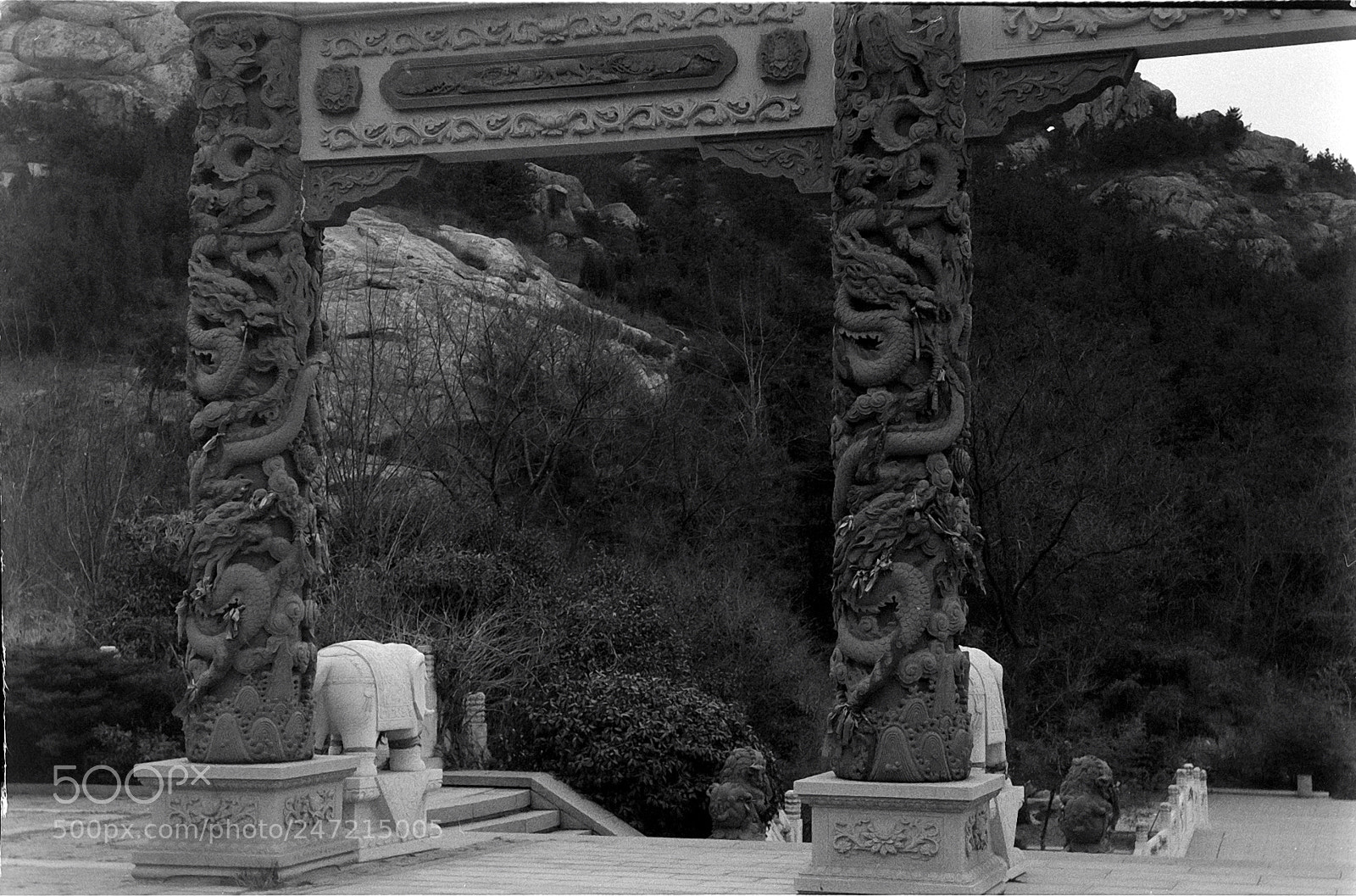 Nikon D200 sample photo. 1971-kiev4a photography