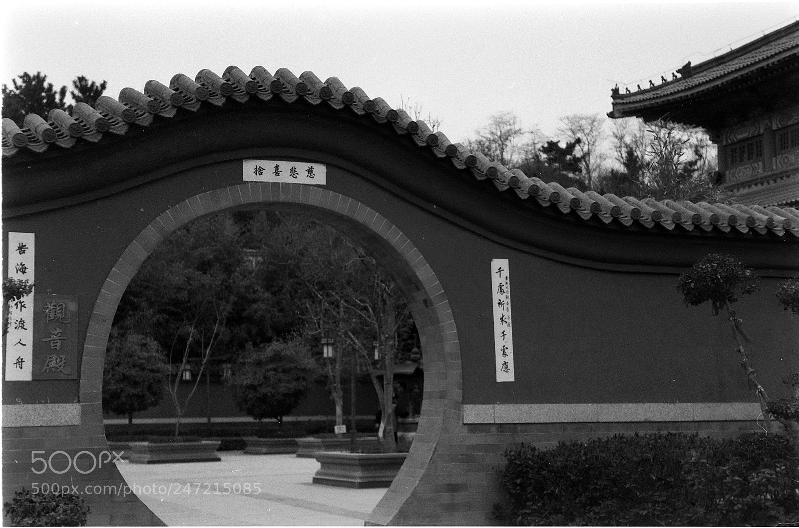 Nikon D200 sample photo. 1971-kiev4a photography