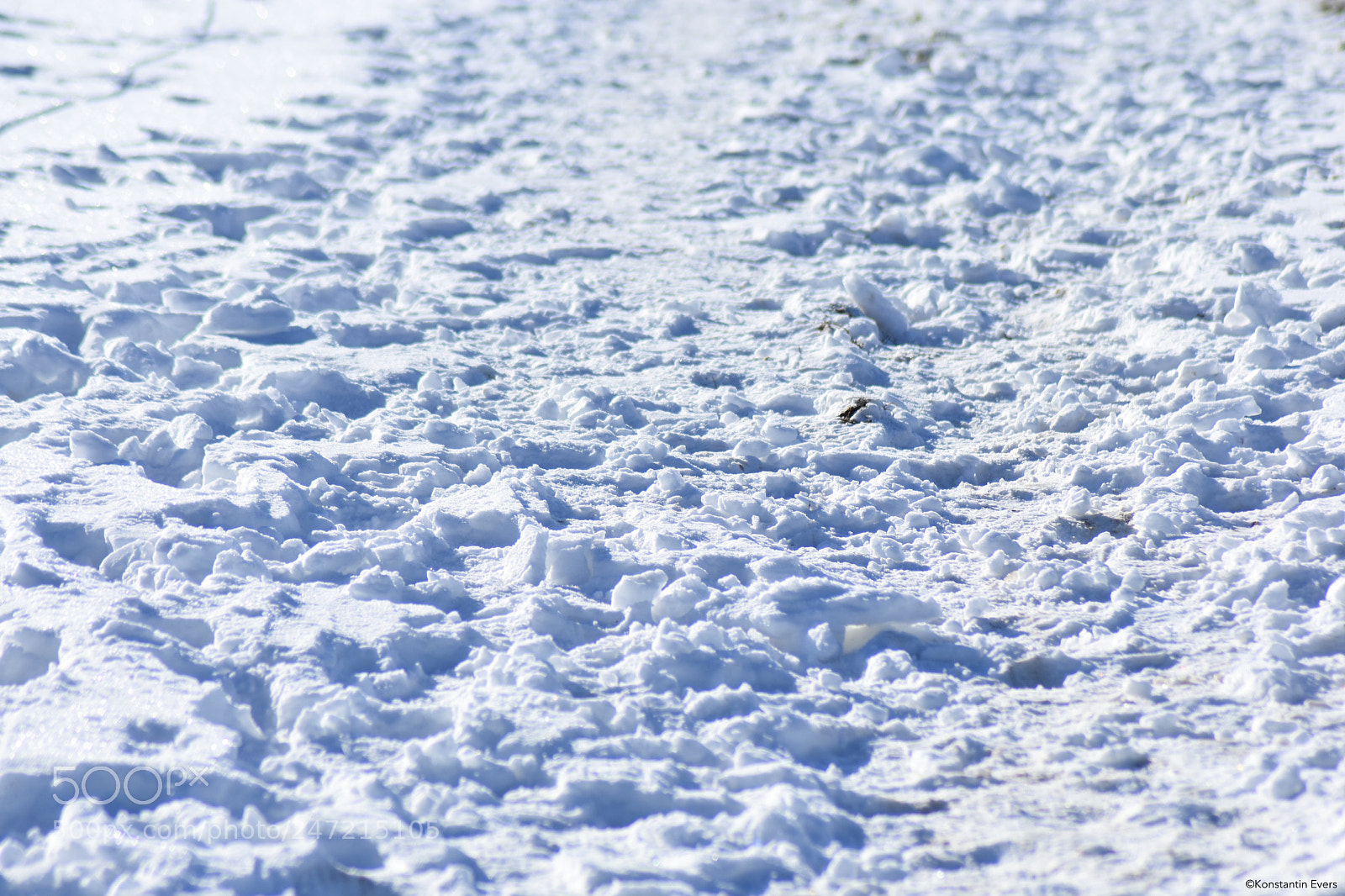 Nikon D3400 sample photo. Find your track! photography