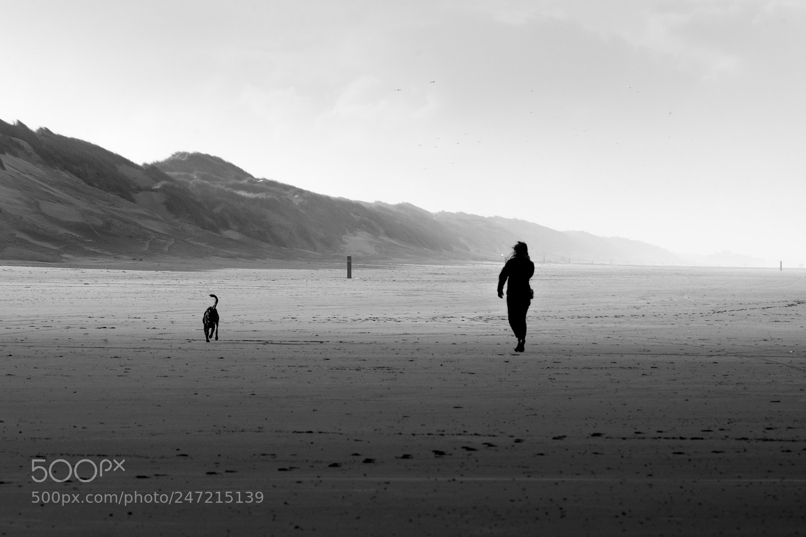 Nikon D7200 sample photo. Walking photography