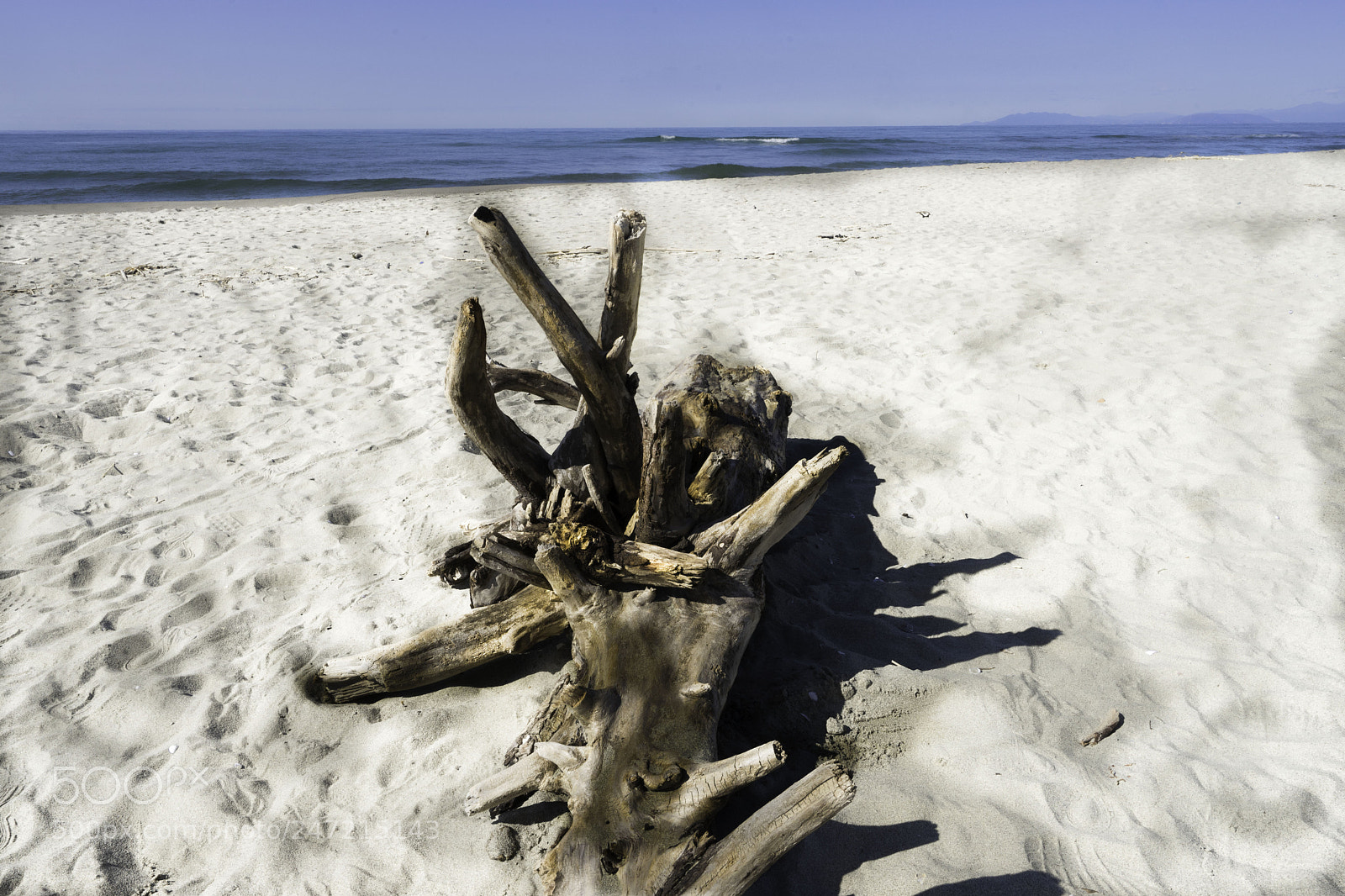 Sony a7 II sample photo. Vecchiano naufrago photography