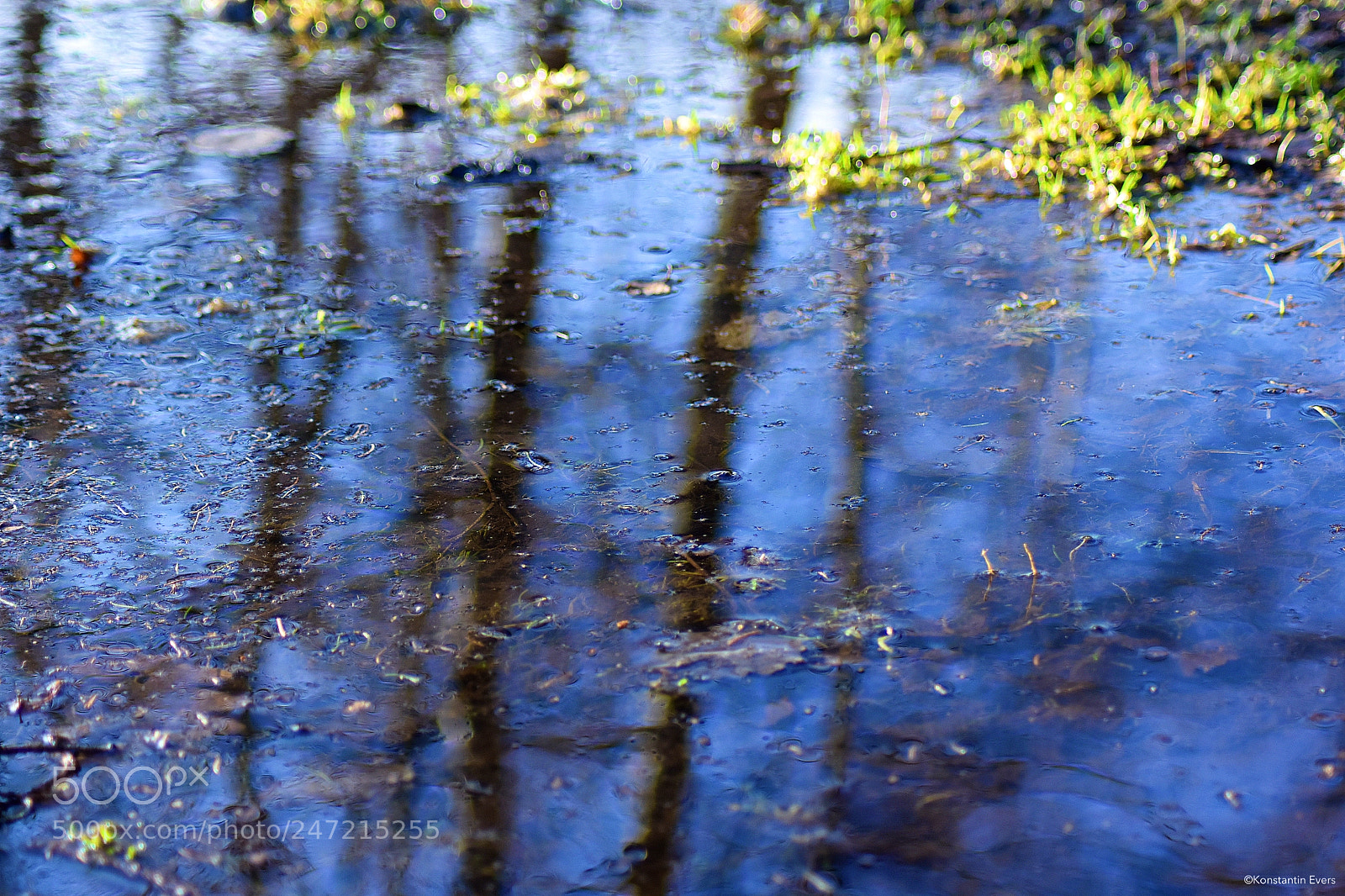 Nikon D3400 sample photo. Reflection photography