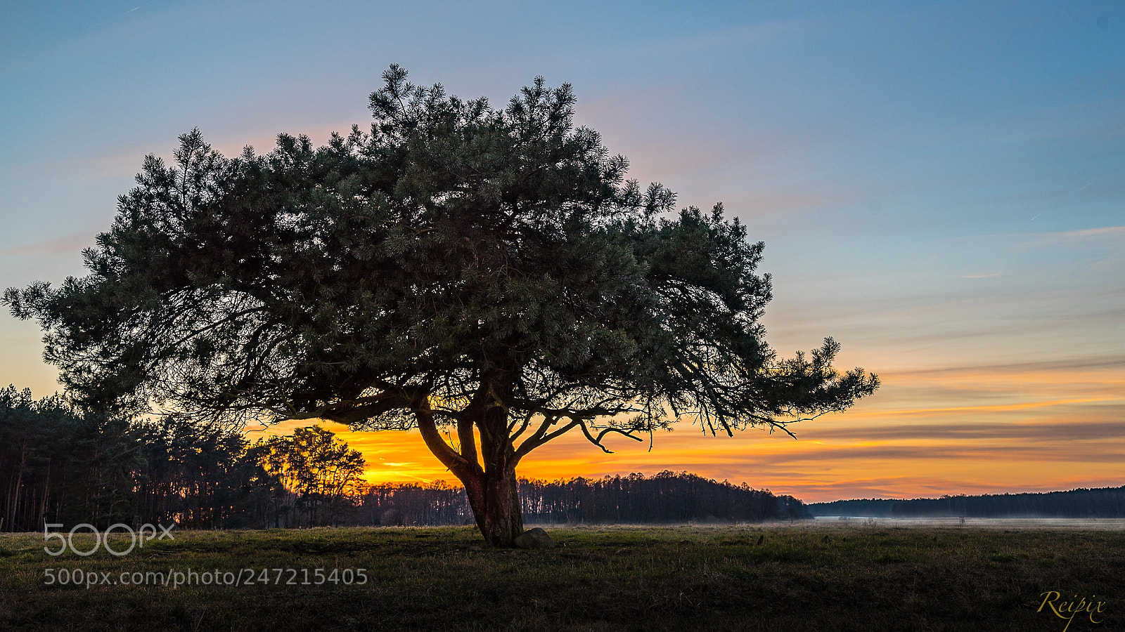 Sony a7R sample photo. Untitled photography