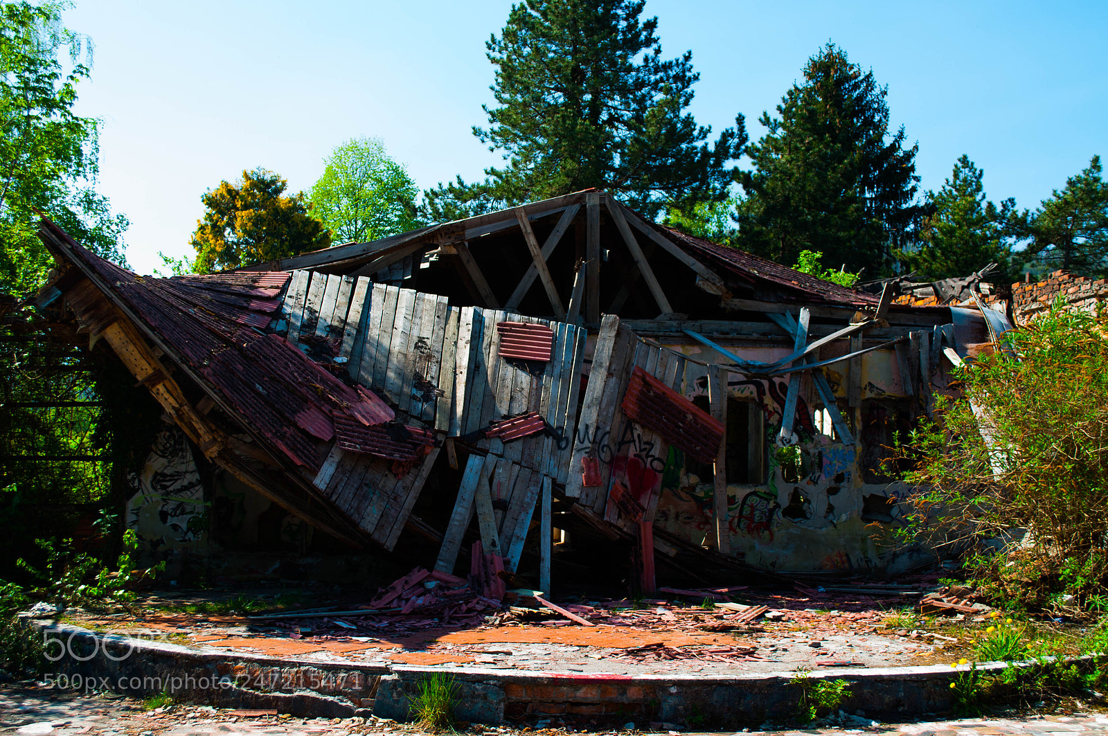 Nikon D5000 sample photo. Untitled photography