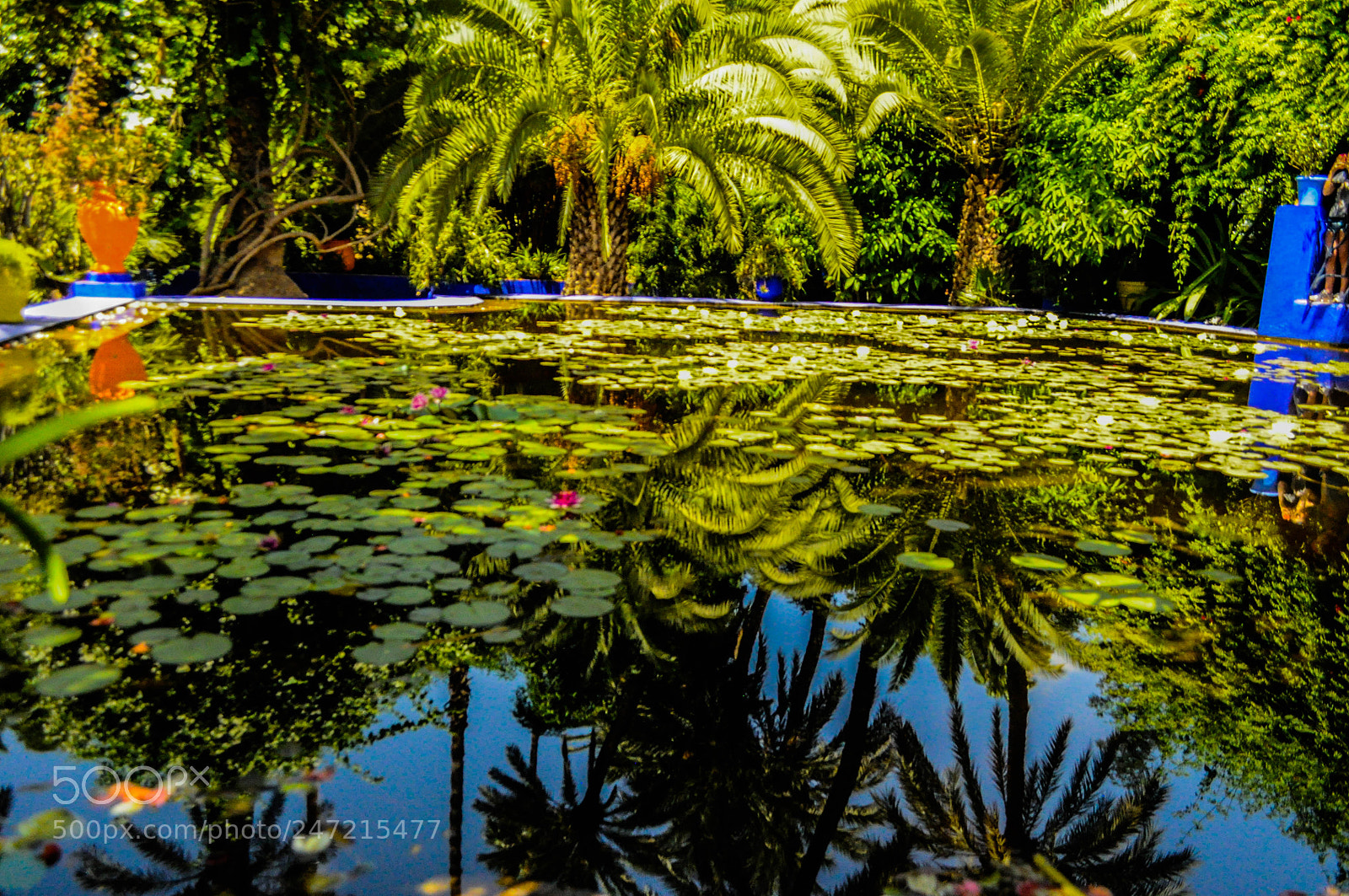 Nikon D5000 sample photo. Untitled photography