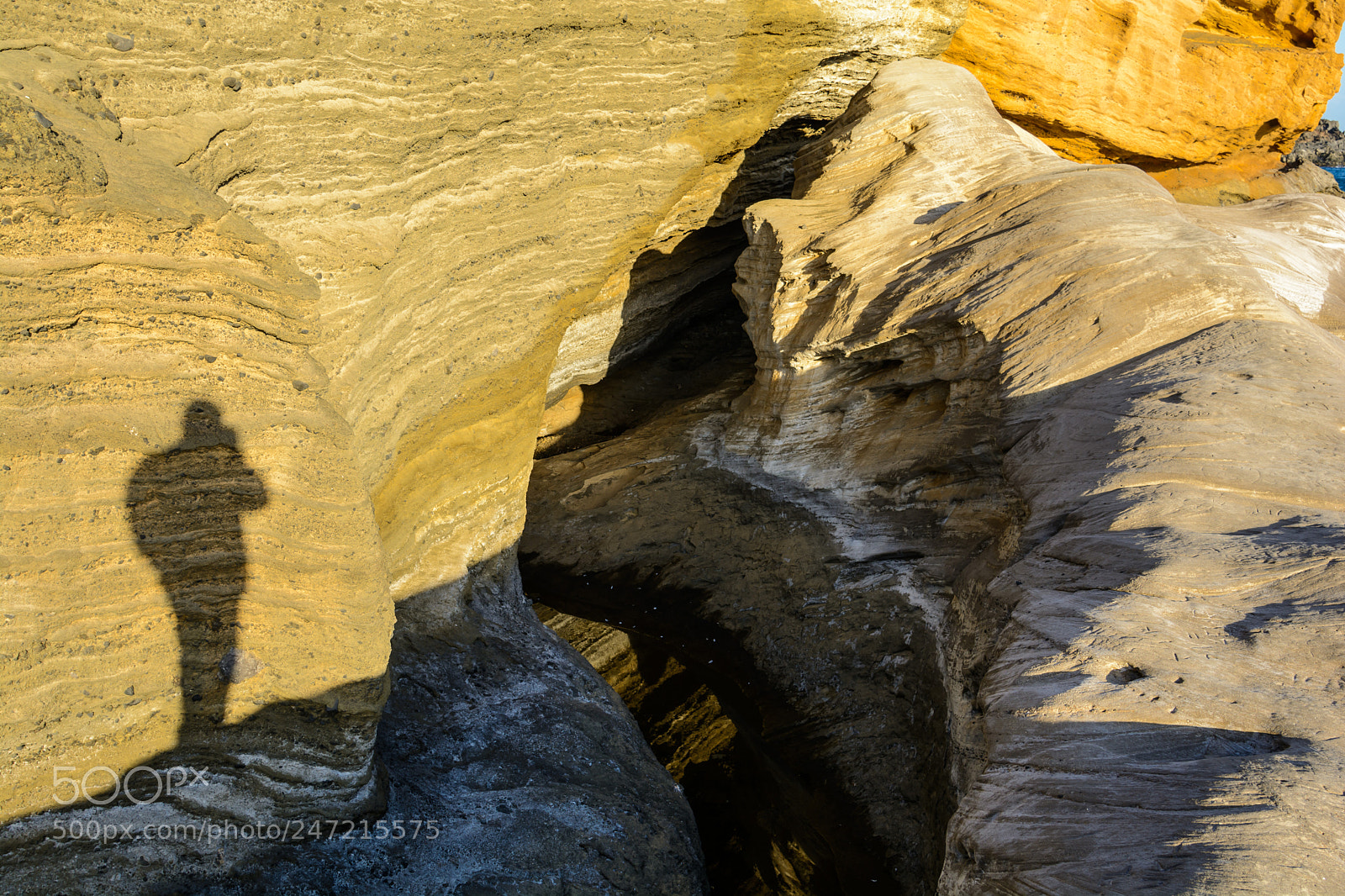 Nikon D7100 sample photo. The shadow of a photography