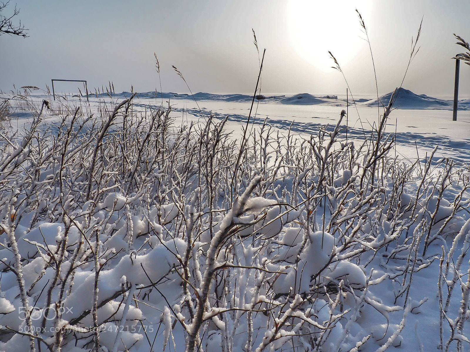 Olympus PEN E-PL7 sample photo. White silence on the photography