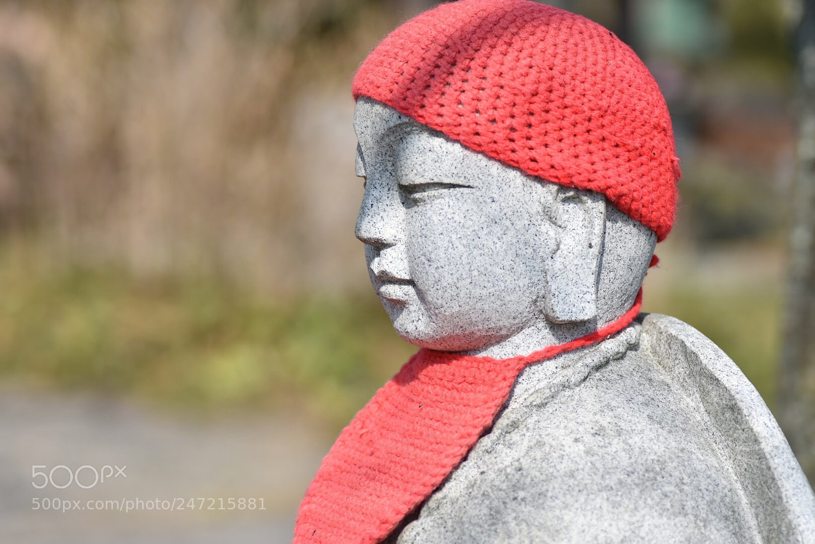 Nikon D7200 sample photo. Guide photography