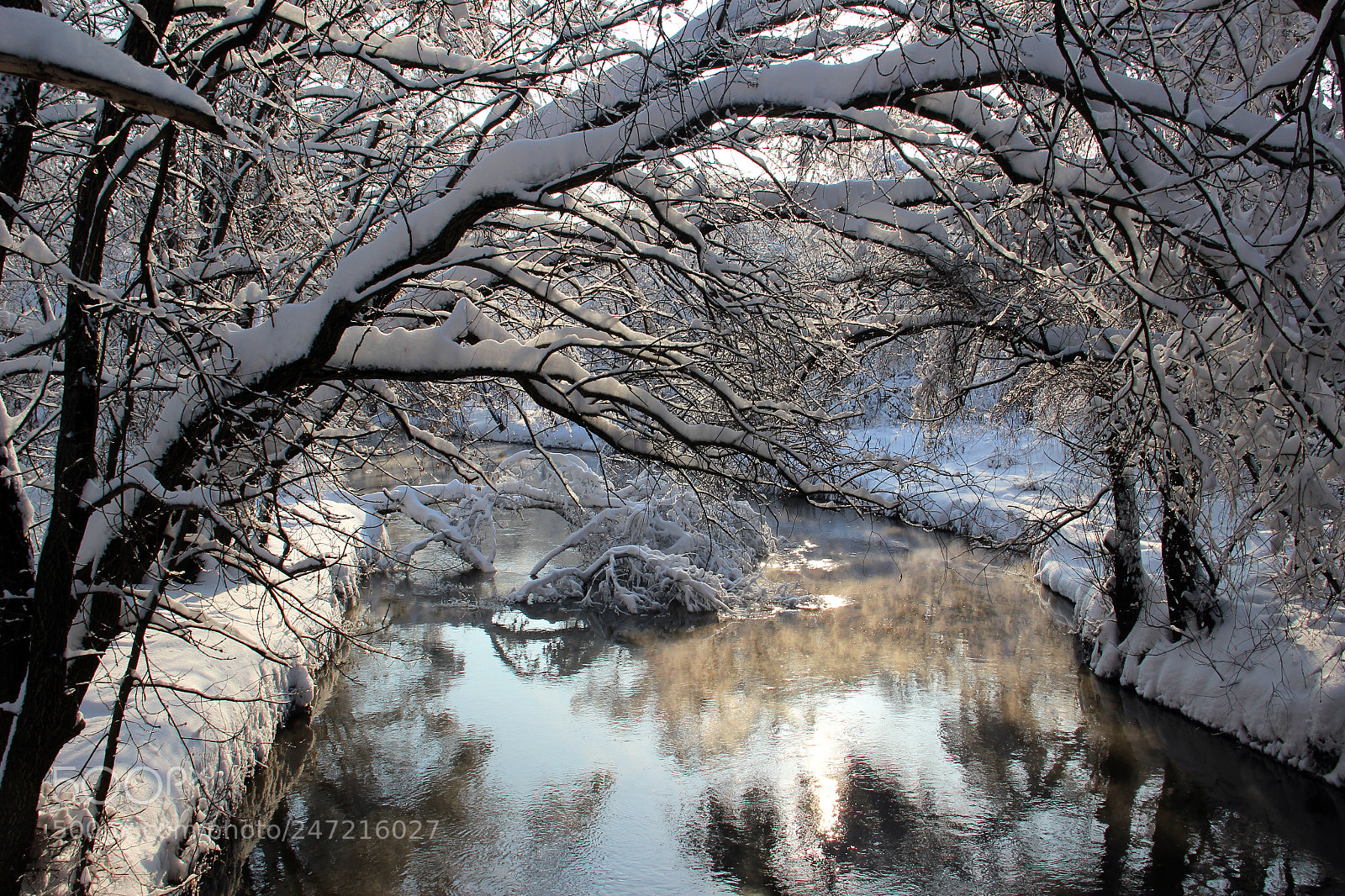 Canon EOS 600D (Rebel EOS T3i / EOS Kiss X5) sample photo. После снегопада. after the snowfall. photography
