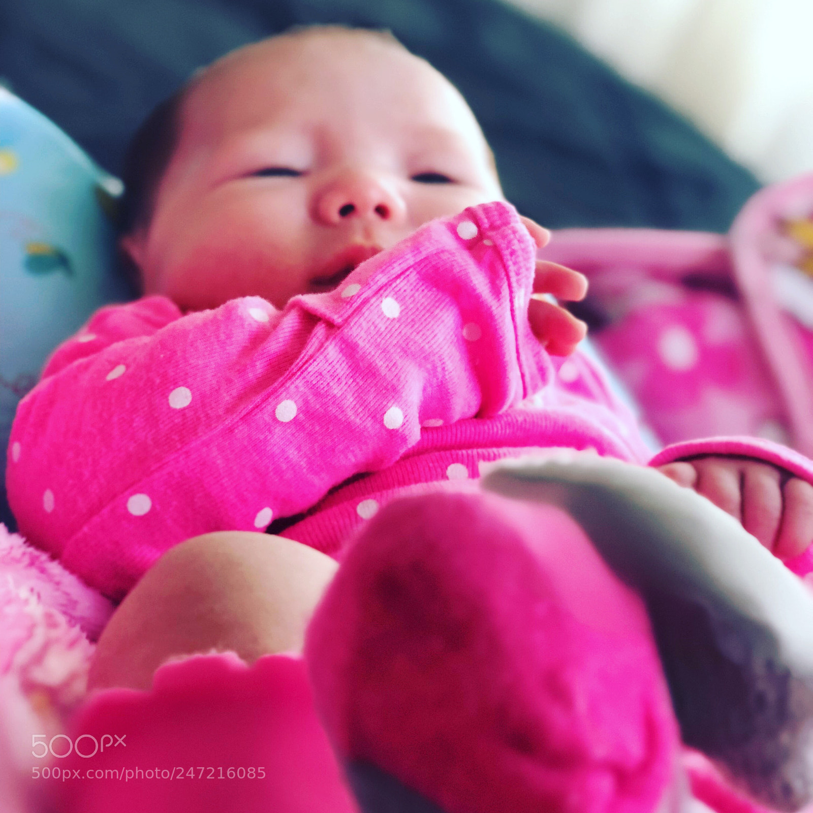 Apple iPhone X sample photo. Mi chichobelo ❤️ photography