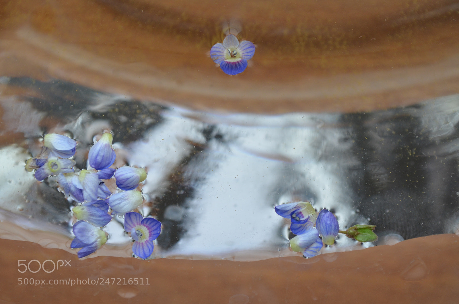 Nikon D5100 sample photo. Oneness photography