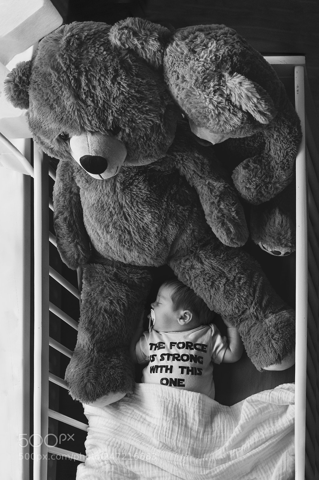 Nikon D5100 sample photo. Momma and papa bear photography