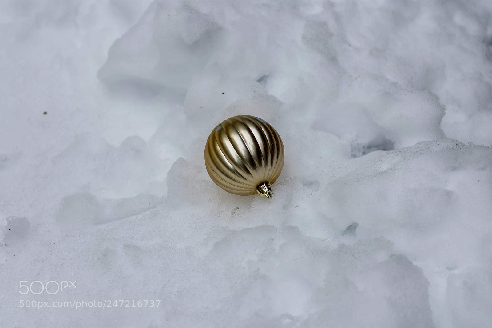 Nikon D3400 sample photo. Gold ornament in snow photography