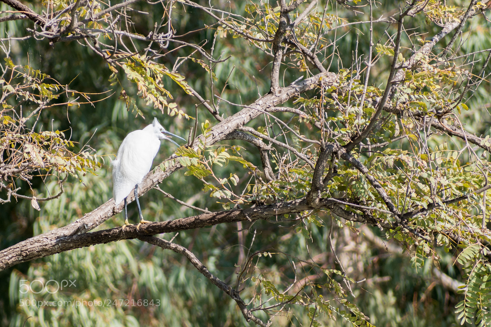 Nikon D5600 sample photo. Dsc photography